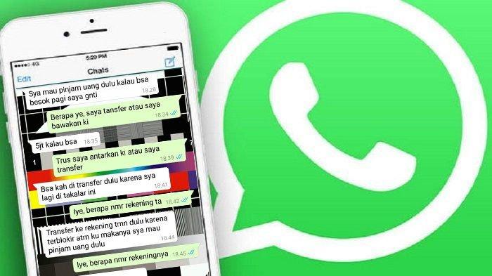 Cara Screenshot Percakapan Panjang di WhatsApp (WA) dalam Satu Layar, Tak Usah Capture Berulang Kali