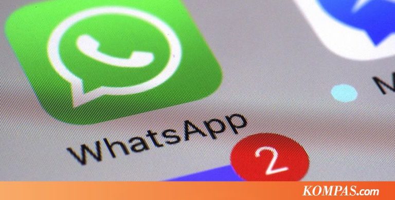 PNS di Perancis Tak Boleh Pakai WhatsApp, Dibikinkan Aplikasi Lokal