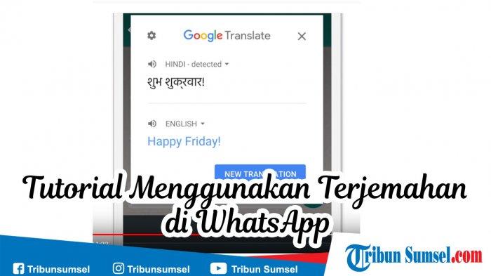 (Tutorial) Cara Menggunakan Google Terjemahan di WhatsApp (Langkah-langkah Mudah)