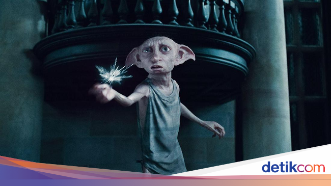 Penampakan Makhluk Mirip Dobby Harry Potter Gegerkan Facebook