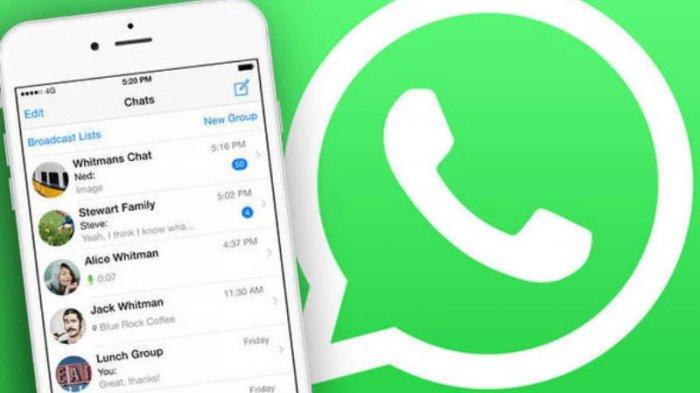 Tips dan Trik Cara Bikin Whatsapp Seolah Tidak Aktif, Beberapa Hal Ini Perlu Dilakukan