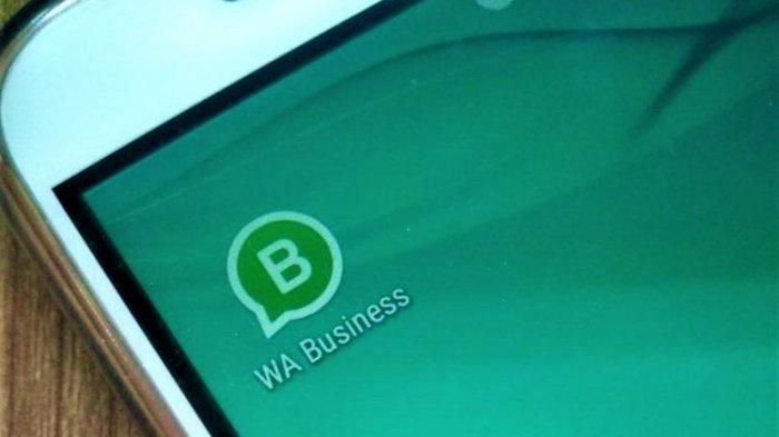 Kini Ada WhatsApp Business untuk Kamu yang Punya Usaha, Simak Begini Cara Penggunaannya