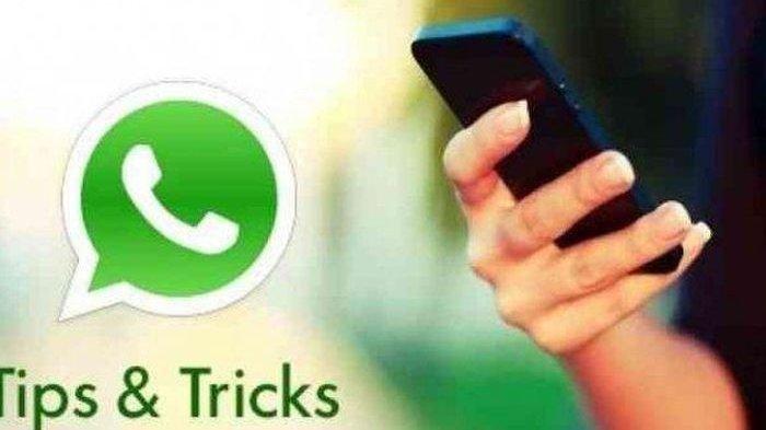 WhatsApp Terbaru, Ini Panduan Anda Jika Ingin Mengirim Foto dengan Resolusi Tinggi di WhatsApp