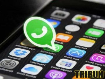 WHATSAPP TERKINI: Gunakan Fitur, Cara Mudah Mengetahui Lokasi Pasangan di Whatsapp (WA), Alamat IP