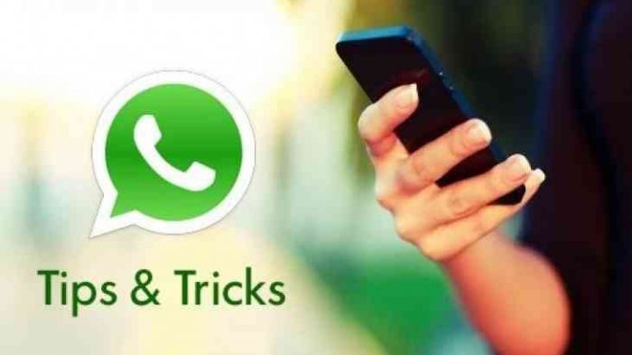 Update WhatsApp - Trik Menghilangkan Status Online di WhatsApp Biar Tidak Kelihatan, Begini Caranya!