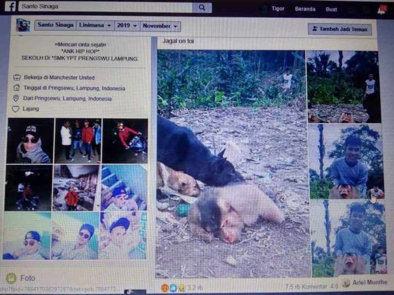 Viral Akun Facebook Pamer Monyet Berdarah-darah