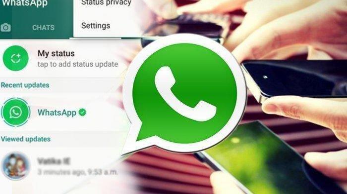 Whatsapp Hari Ini: Telanjur Kirim Pesan Whatsapp, Cara Hapus Chat, Intip Siapa Saja Baca Pesan Anda